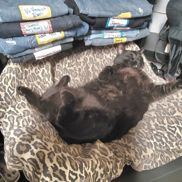 vu Dresses & Skirts - Rubbing my belly brings u luck